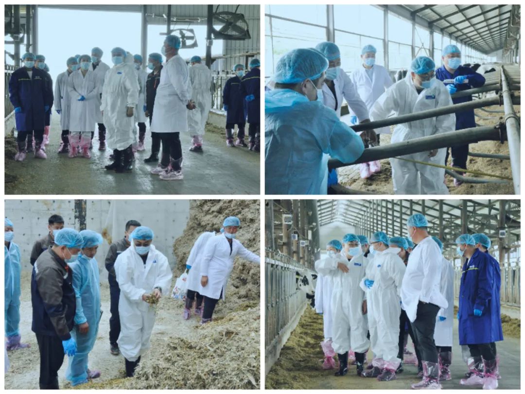 千亿平台（中国）丨国家奶牛产业技术体系首席科学家、中国农业大学教授李胜利一行莅临千亿平台（中国）鲁山瑞亚参观调研