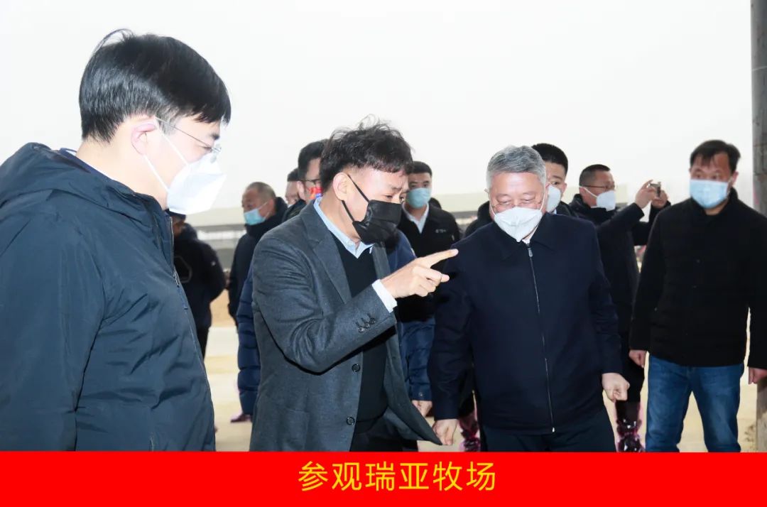 新年开新局 合作促发展丨佳木斯市委常委、副市长闫志刚一行莅临千亿平台（中国）乳业集团及佳田企业考察座谈