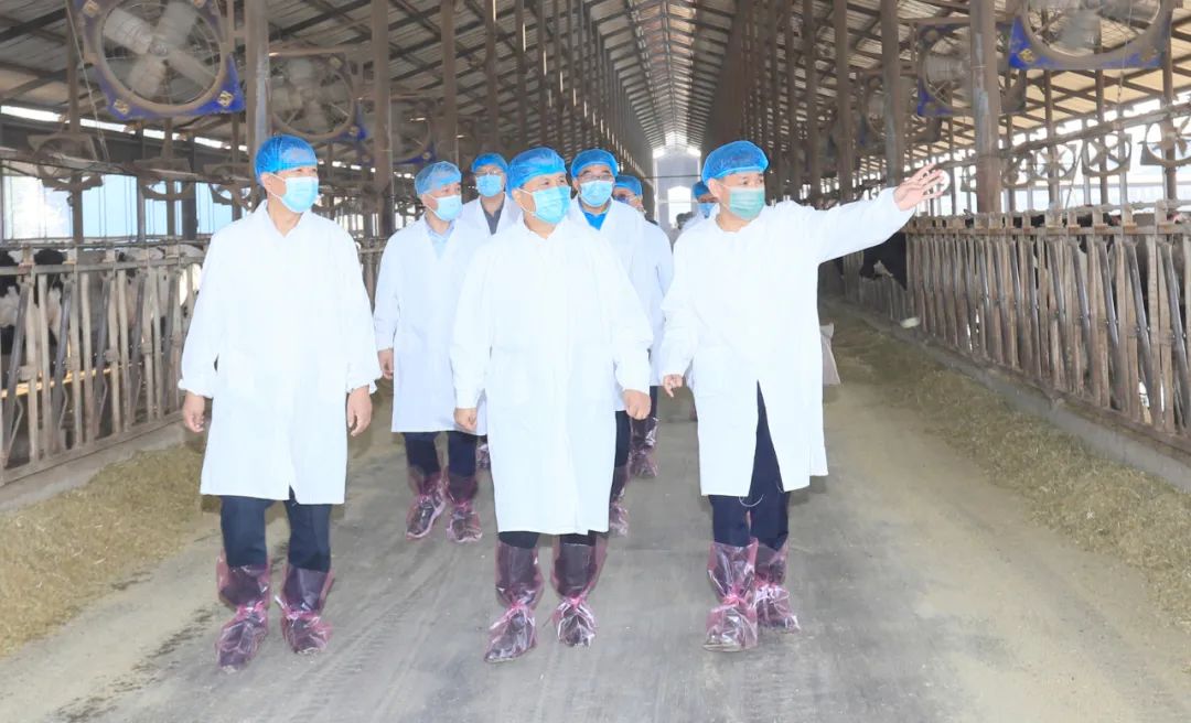 快讯丨河南省人民政府副省长武国定莅临千亿平台（中国）乳业集团瑞亚牧业调研奶源基地建设情况